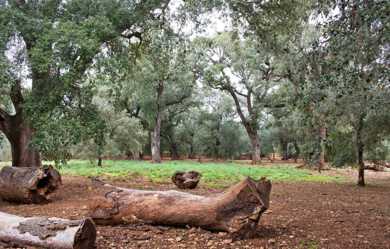 Natura Rural Hotell 3*
