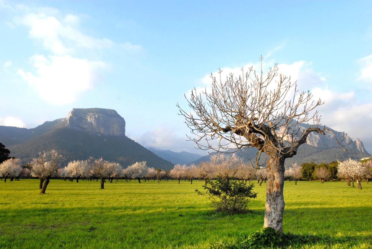 Natura Rural Hotell Alaró